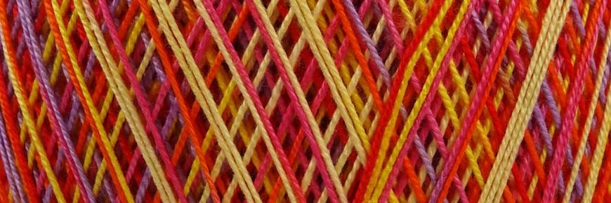 padre Ermes Ronchi”Siamo fili dell’unico arazzo dell’essere”