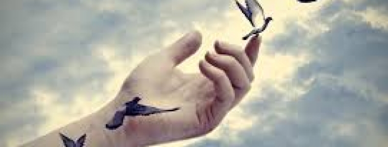 Paolo De Martino “Voliamo&nbsp;alto”