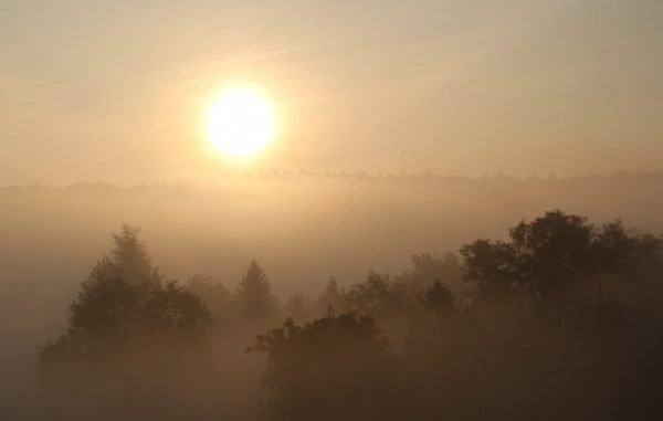 don Mario Simula”… Ma il nostro cielo è nella&nbsp;nebbia”