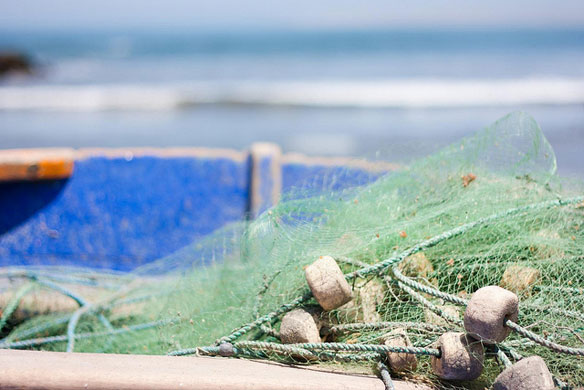 Mons.Francesco Follo”Accogliendo la vocazione ad essere pescatori di uomini, partecipiamo alla missione di Cristo che salva dal naufragio di una vita senza verità e senza&nbsp;amore”