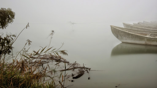 Don Paolo Zamengo”Andare, vedere, seguire&nbsp;“