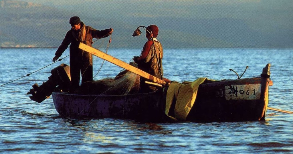 Maria Ignazia Angelini 