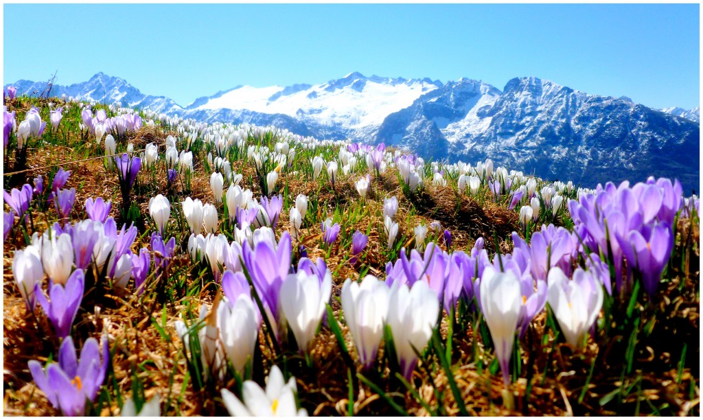 Don Paolo Zamengo”Parole che profumano di&nbsp;eternità