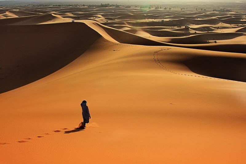 Padre Paolo Berti “Voce di uno che grida nel deserto: Preparate la via del Signore…”