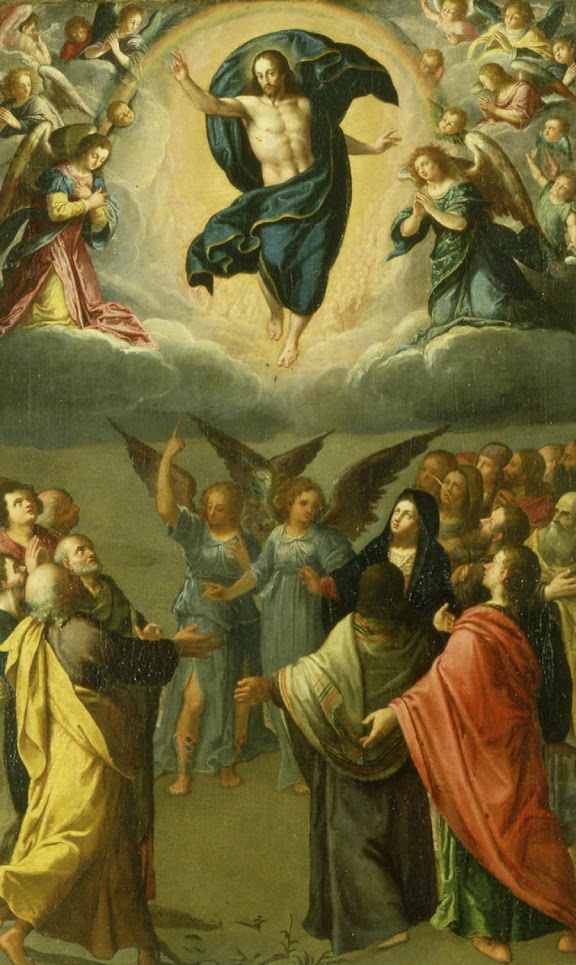 #PANEQUOTIDIANO, «MENTRE LI BENEDICEVA, SI STACCÒ DA LORO E VENIVA PORTATO SU, IN&nbsp;CIELO»