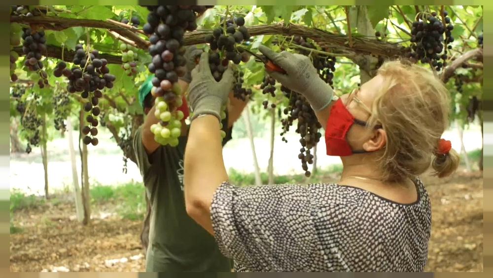 Paolo Curtaz “Pochi&nbsp;lavorano”