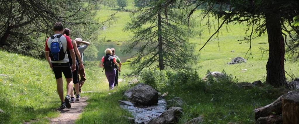 Don Paolo Zamengo”La strada, la casa, la pace&nbsp;“