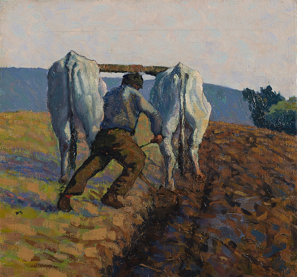P. Fabrizio Cristarella Orestano Commento TREDICESIMA DOMENICA DEL TEMPO ORDINARIO