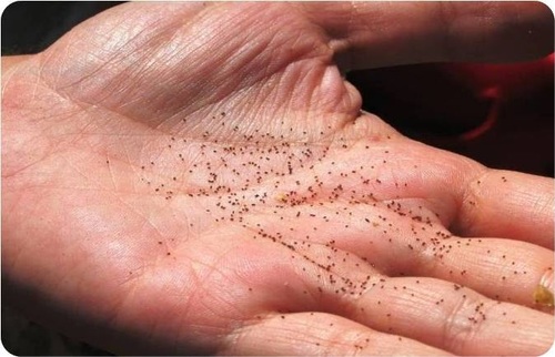 P. Fabrizio Cristarella Orestano COMMENTO VENTISETTESIMA DOMENICA DEL TEMPO&nbsp;ORDINARIO