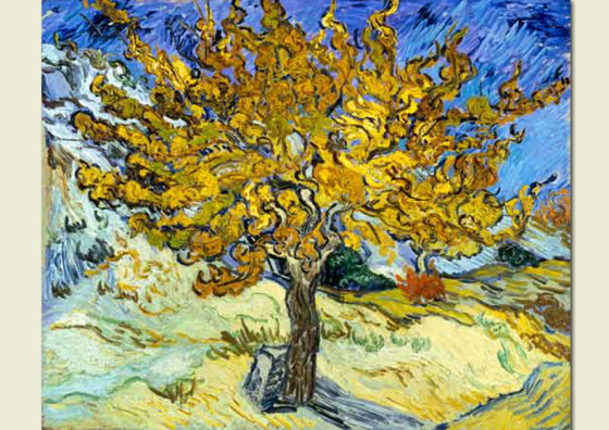 Alessandro Cortesi Commento XXVII Domenica del Tempo Ordinario (Anno&nbsp;C)