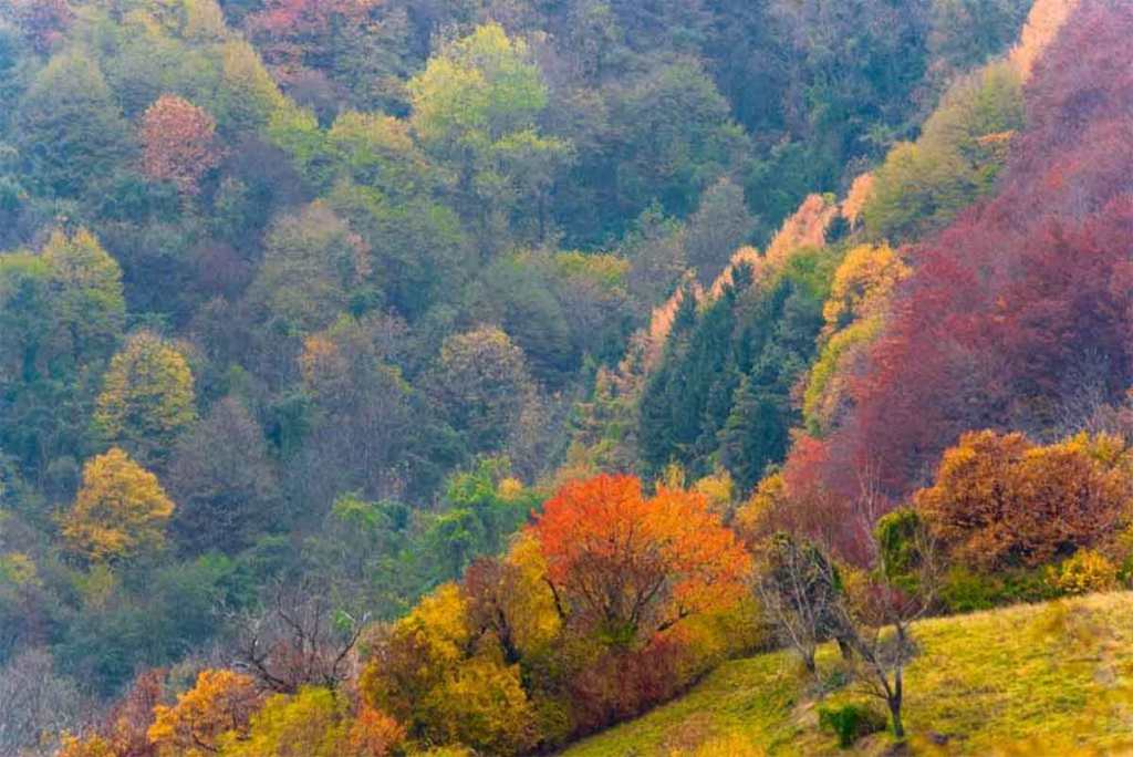 don Sandro De Gasperi “Il Dio che ci sta&nbsp;davanti”