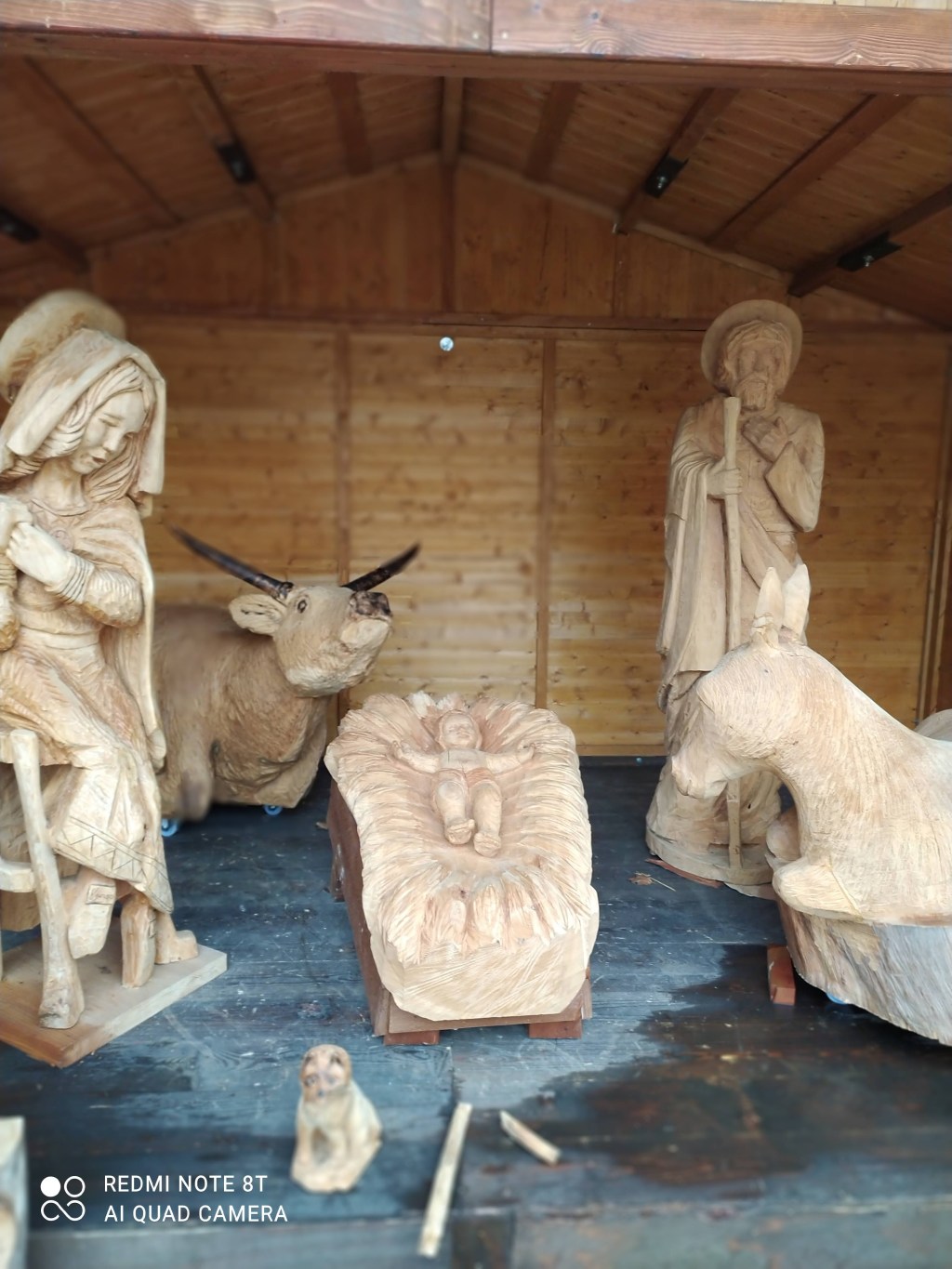 #PANEQUOTIDIANO, «CI VISITERÀ UN SOLE CHE SORGE DALL’ALTO, PER RISPLENDERE SU QUELLI CHE STANNO NELLE&nbsp;TENEBRE»