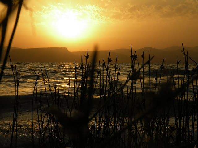 #PANEQUOTIDIANO, «GESÙ PERCORREVA TUTTA LA&nbsp;GALILEA»