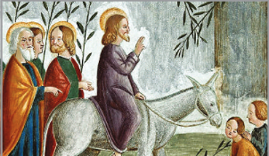 padre Ermes Ronchi”E L’ASINO?”