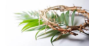 Massimo Cautero “La parabola più&nbsp;importante!