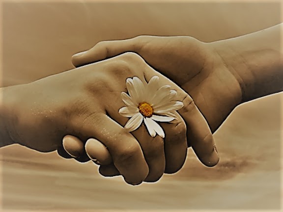 #PANEQUOTIDIANO, «SIATE MISERICORDIOSI, COME IL PADRE VOSTRO È&nbsp;MISERICORDIOSO»