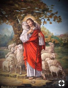 #PANEQUOTIDIANO, «IO SONO LA PORTA DELLE&nbsp;PECORE»