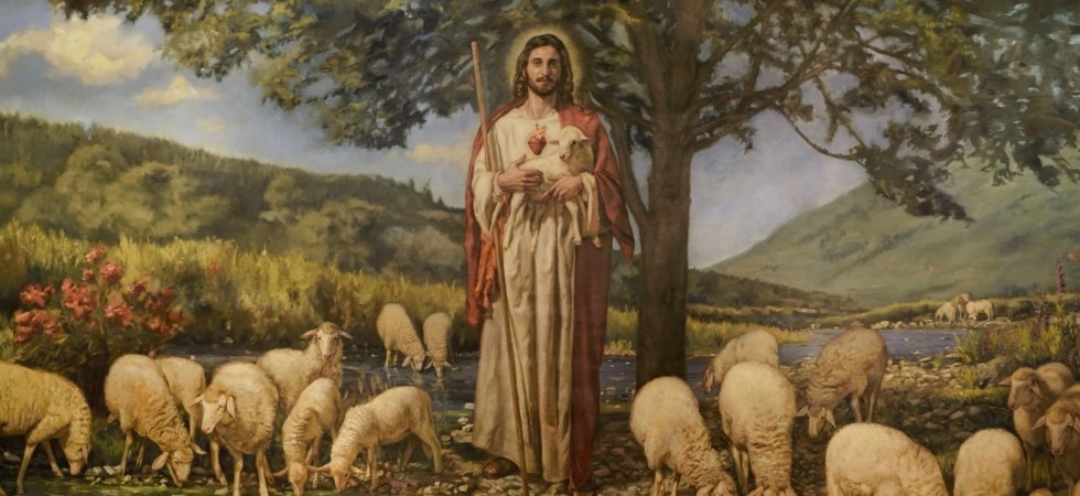 Mons Angelo Sceppacerca Omelia Domenica 30 aprile – Quarta di Pasqua