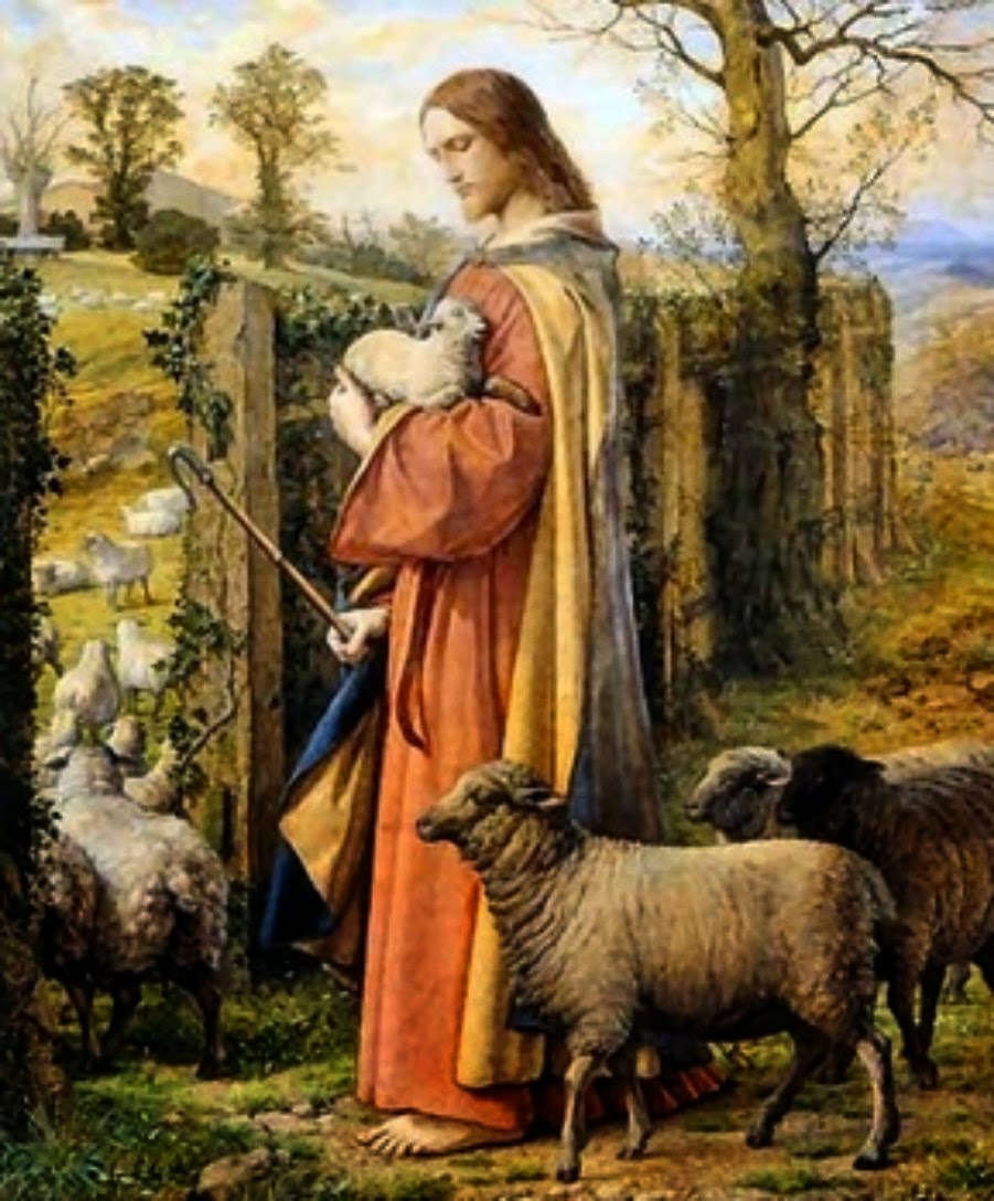 Parrocchia Santa Maria della Pietra omelia IV DOMENICA DI PASQUA – ANNO A