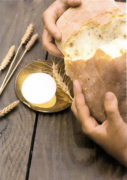 Padre Paolo Berti“Io sono il pane della vita…”