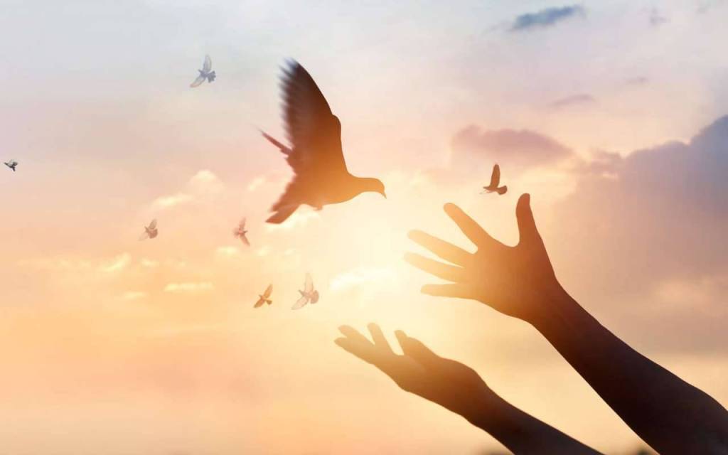 padre Gianmarco Paris Omelia VI Domenica di Pasqua (Anno&nbsp;A)