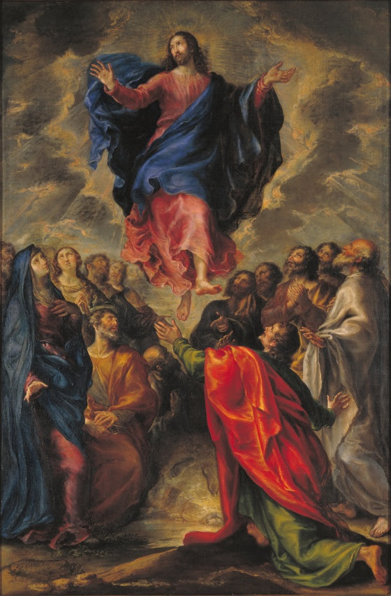 Don Luciano Labanca Omelia Ascensione del Signore (Anno A) 