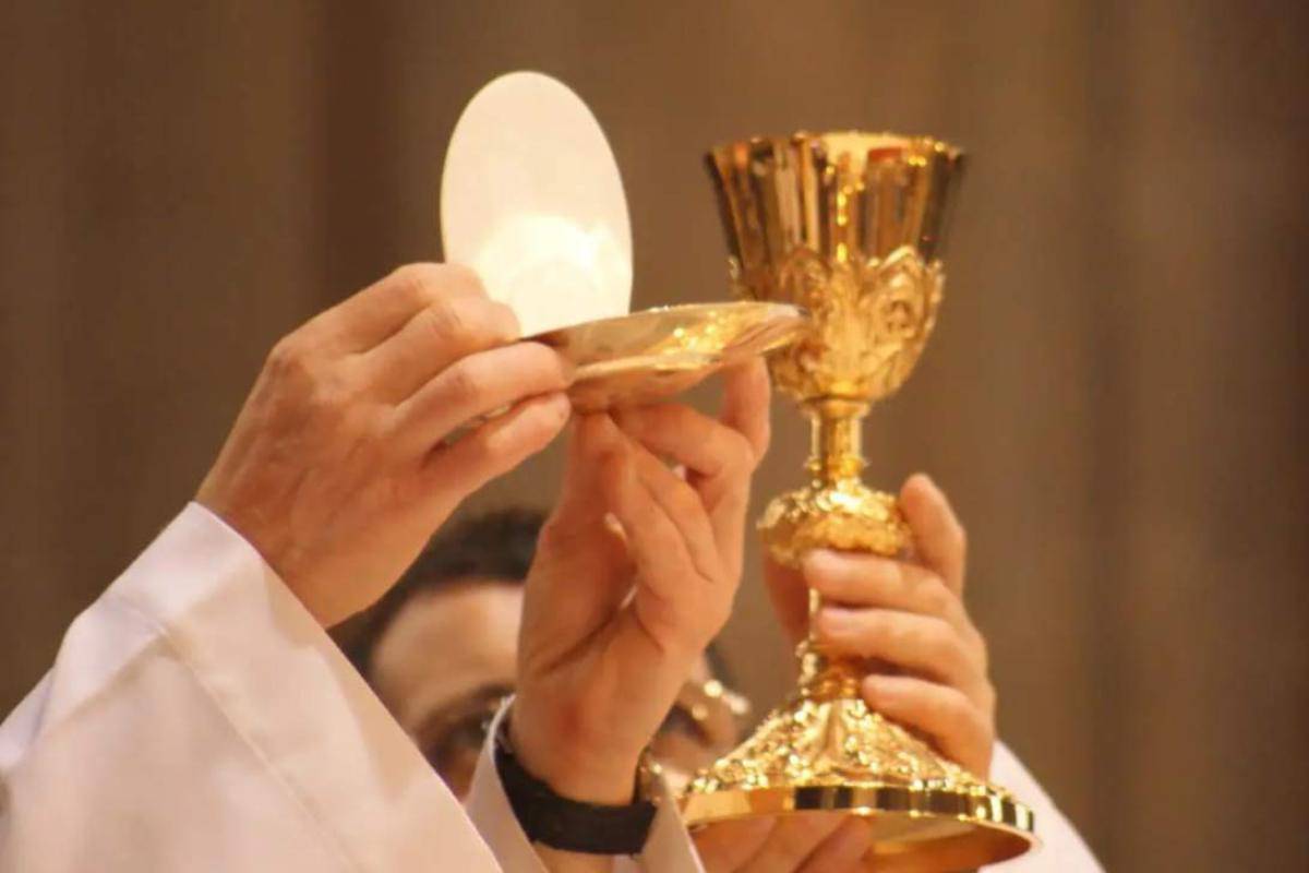 lievito padre di cristiano merlini