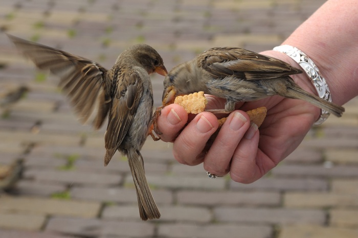 Paolo De Martino “Non abbiate&nbsp;paura”