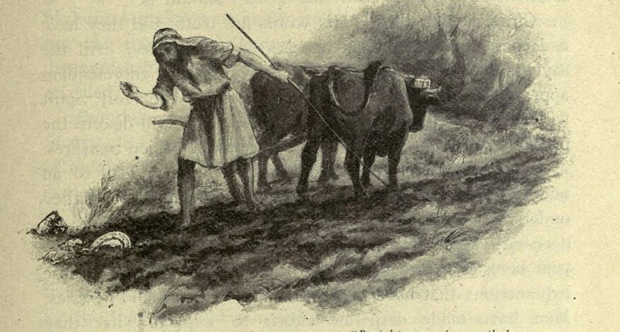 Monastero Matris Domini Lectio XVII Domenica del Tempo Ordinario (Anno A) 