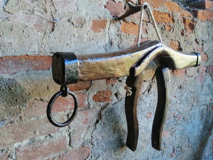 #PANEQUOTIDIANO, «IL MIO GIOGO INFATTI È DOLCE E IL MIO PESO&nbsp;LEGGERO»