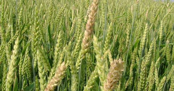 Mons.Nunzio Galantino “IL TUO AMORE, SIGNORE, SA ATTENDERCI CON PAZIENZA E INDULGENZA”