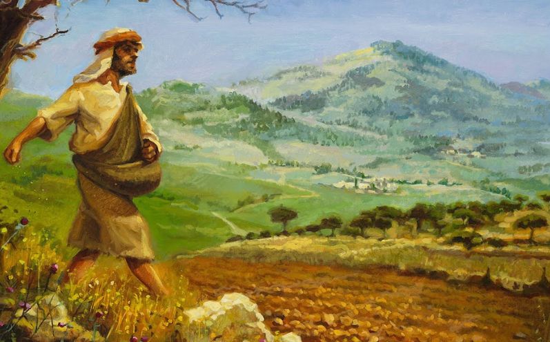 #PANEQUOTIDIANO, «Quello sul terreno buono sono coloro che producono frutto con&nbsp;perseveranza»