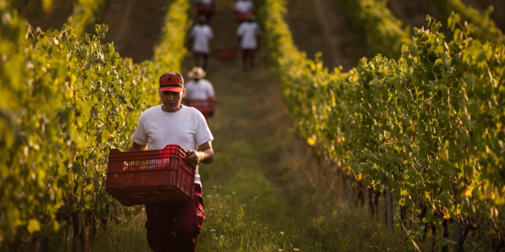 Sorelle clarisse di Imperia Porto Maurizio Lectio XXV Domenica del Tempo Ordinario (Anno&nbsp;A)