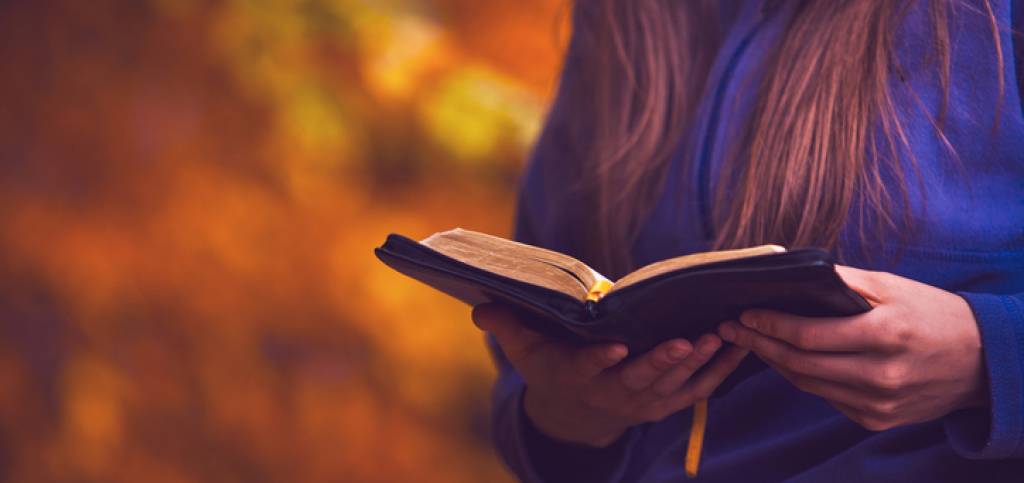 #PANEQUOTIDIANO, «Beato il grembo che ti ha portato e il seno che ti ha&nbsp;allattato!»