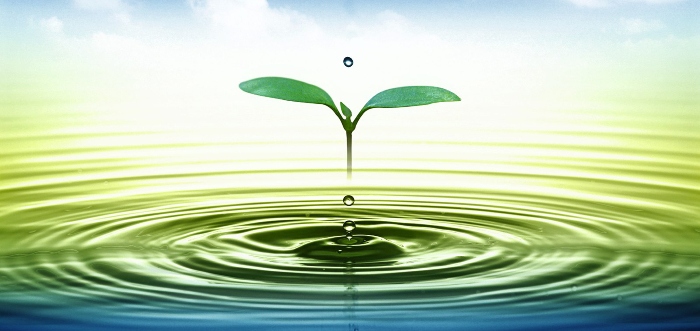 #PANEQUOTIDIANO,«A CHIUNQUE HA, VERRÀ DATO E SARÀ NELL’ABBONDANZA»