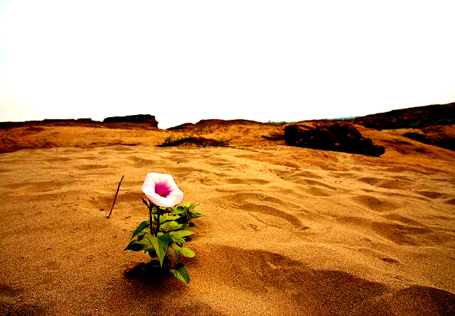 #PANEQUOTIDIANO, «CON LA VOSTRA PERSEVERANZA SALVERETE LA VOSTRA&nbsp;VITA»