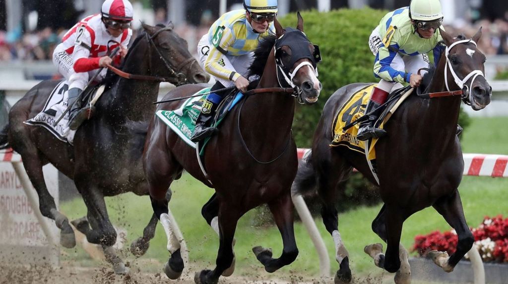 don Marco Pozza “I cavalli da corsa non si allenano sul tapis-roulant”