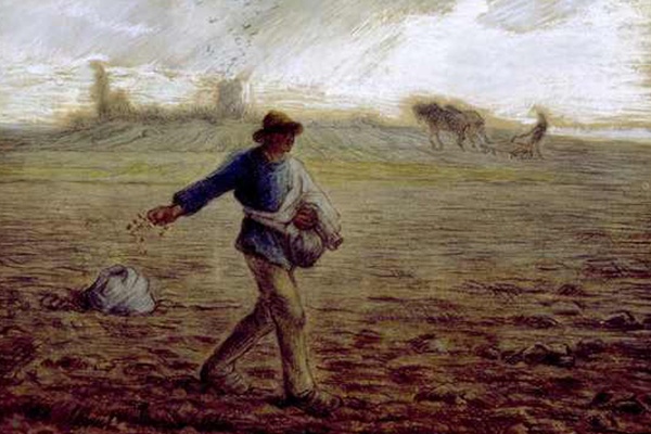 P. Gianpiero Tavolaro Commento UNDICESIMA DOMENICA DEL TEMPO&nbsp;ORDINARIO