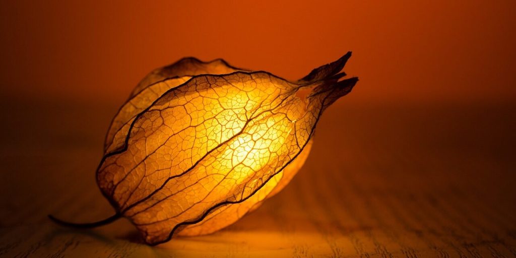 fra Damiano Angelucci”Due vite in&nbsp;una”