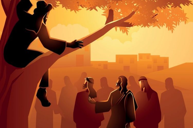 #PANEQUOTIDIANO, «IL FIGLIO DELL’UOMO È VENUTO A CERCARE E A SALVARE CIÒ CHE ERA&nbsp;PERDUTO»