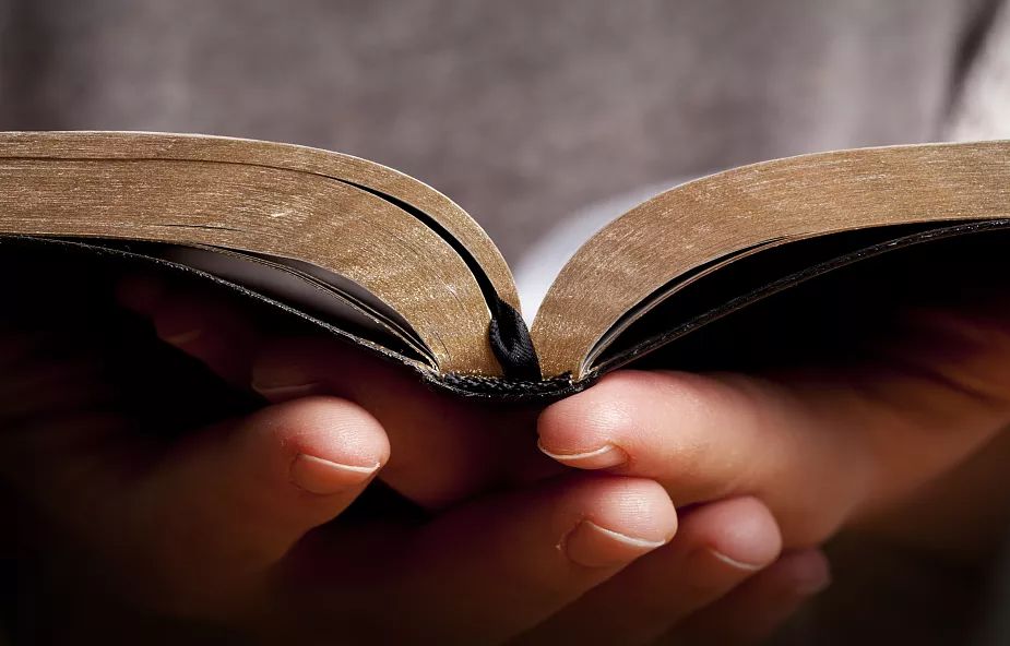 #PANEQUOTIDIANO, «IL REGNO DEI CIELI SUBISCE VIOLENZA E I VIOLENTI SE NE&nbsp;IMPADRONISCONO»