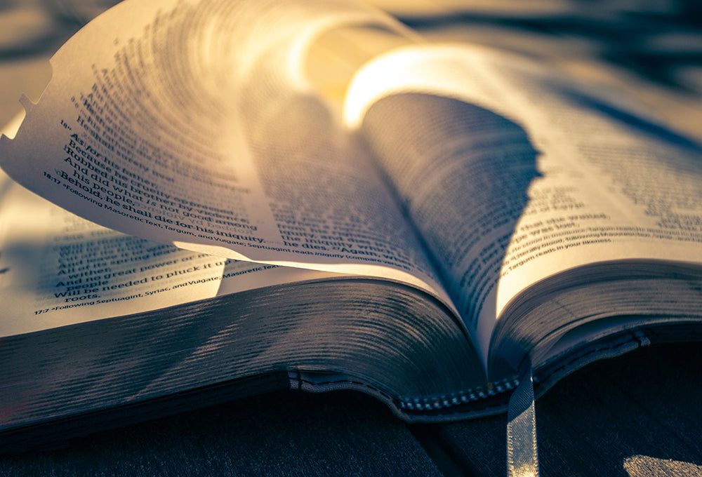 Dai «Discorsi» di san Leone Magno,”Il bene della carità”