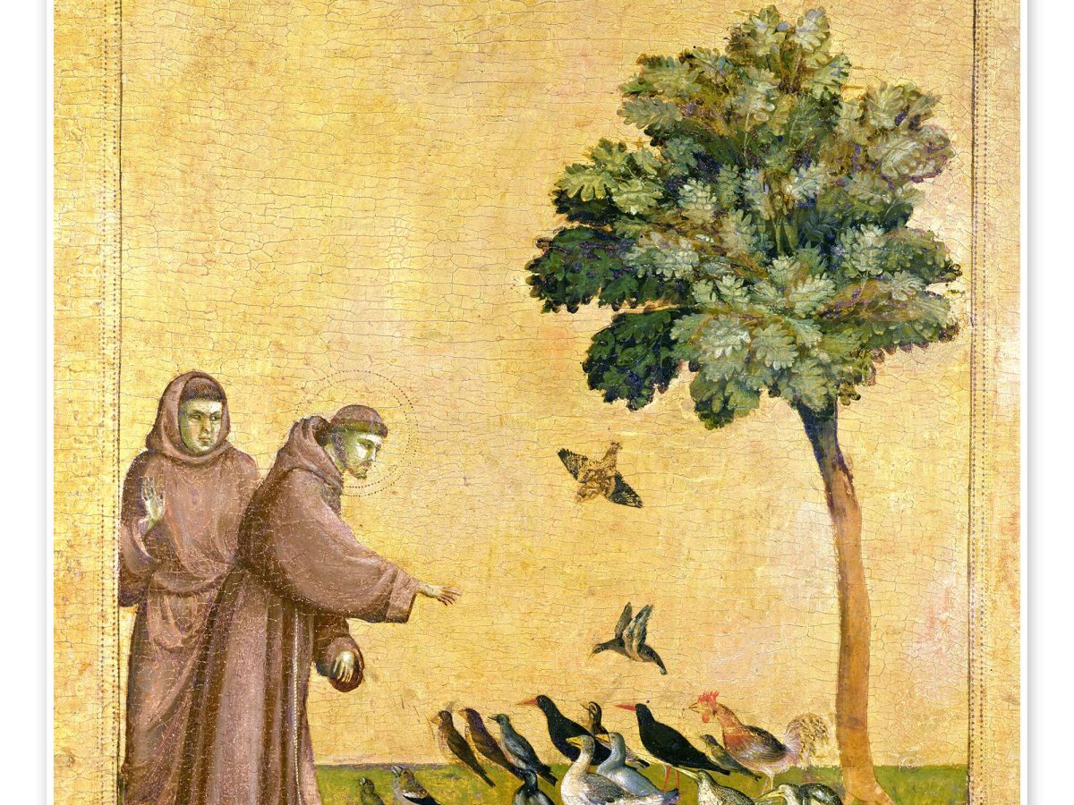 Padre Roberto Pasolini”Annunciare il Vangelo a ogni&nbsp;creatura”