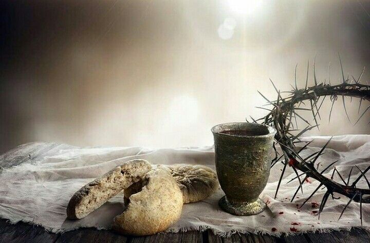#PANEQUOTIDIANO, «È IL PADRE MIO CHE VI DÀ IL PANE DAL CIELO»