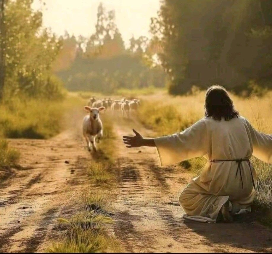 Don Paolo Zamengo”Il pastore buono ci salva”