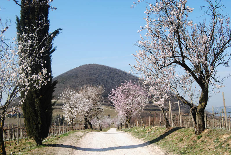 Giorgio Scatto”La presenza nel mondo del&nbsp;Risorto”